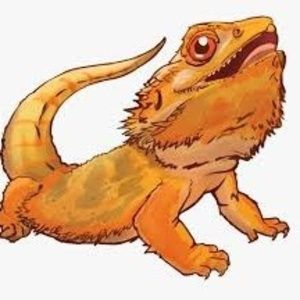 Meet your Posher, Wesley